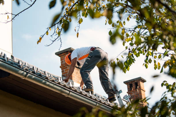 Best Shingle Roofing Installation  in Leachville, AR