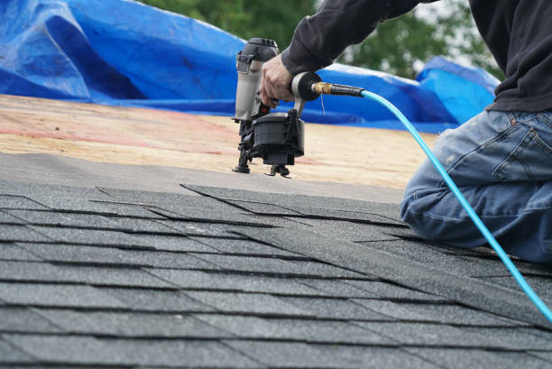 Best Roof Gutter Cleaning  in Leachville, AR